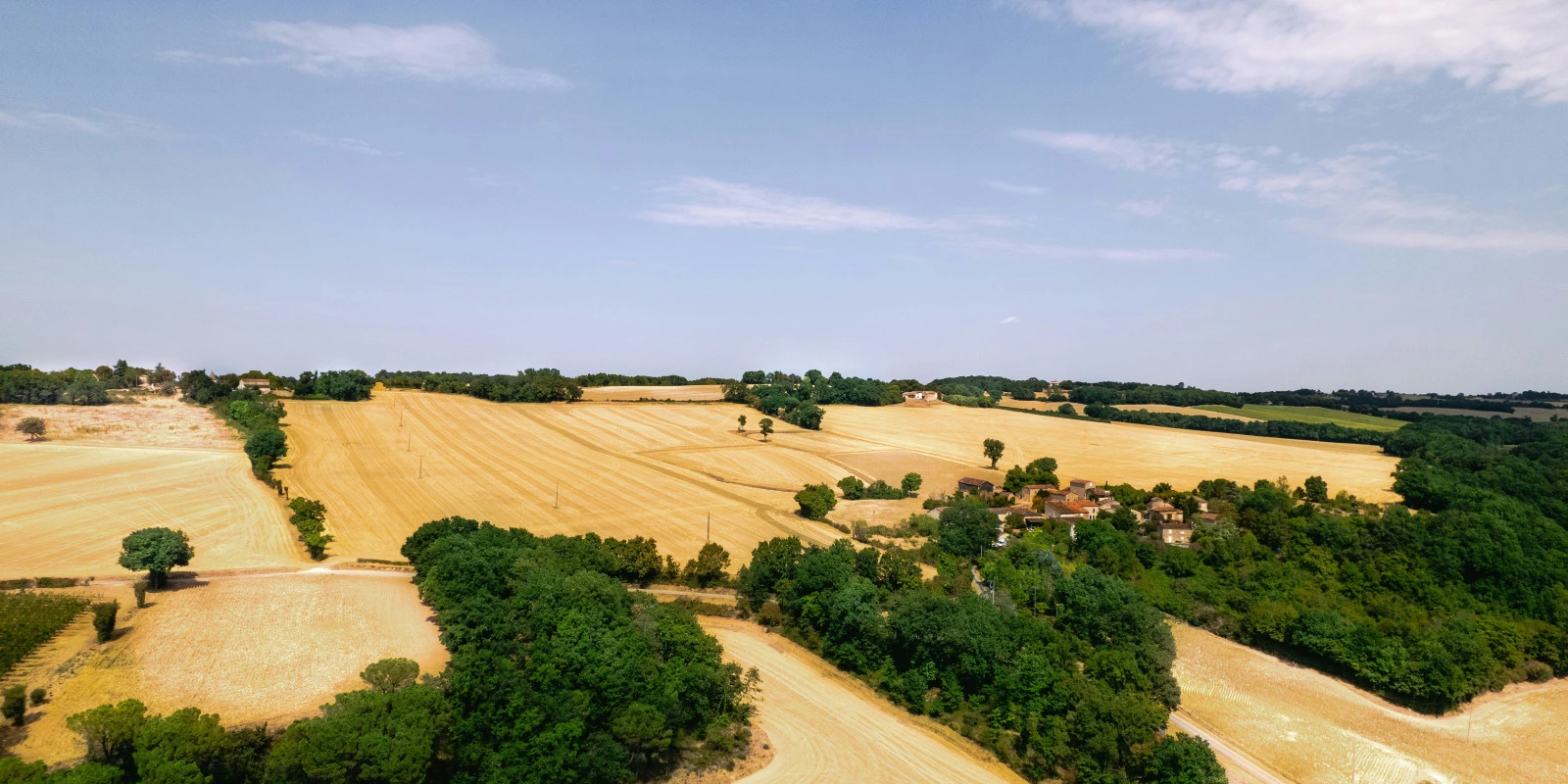 Tout Savoir sur le BTSA BIOQUALIM Programme